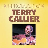 Terry Callier - Terry Callier