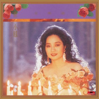 徐小鳳 - 文明淚