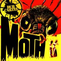 MOTH - Moth
