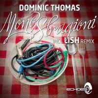 Dominic Thomas - MonoStragioni