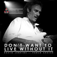 David Jenkins - Live By The Waterside "Don't Want To Live Without It" Ft. David Jenkins of Pablo Cruise