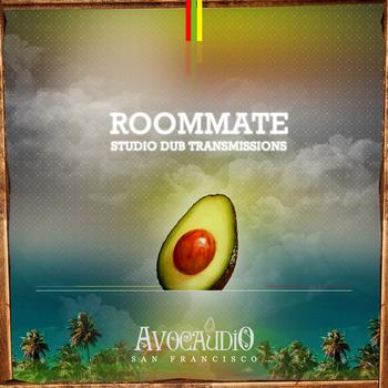 Roommate - Studio Dub Transmissions