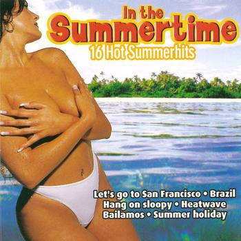 Various Artists - In The Summertime (16 Hot Summerhits)