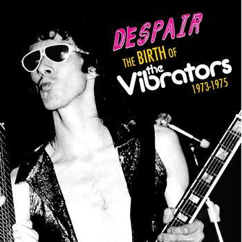 Despair - The Birth Of The Vibrators 1973-1975