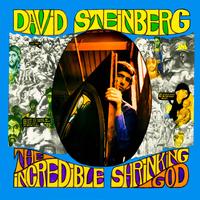 David Steinberg - The Incredible Shrinking God