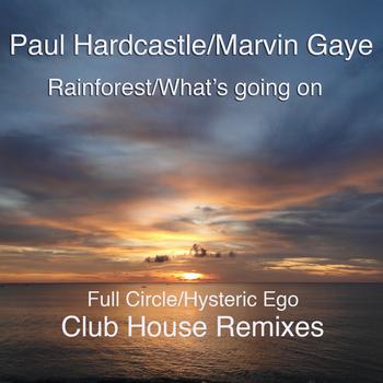 Paul Hardcastle - Rainforest/What's Going On  (Club House Remixes)