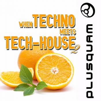Various Artists - When Techno Meets Tech-House Vol. 2