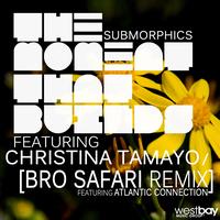 Submorphics - The Moment that Builds