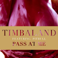 Timbaland - Pass At Me
