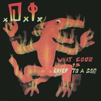 D.I. - What Good is Grief to a God?