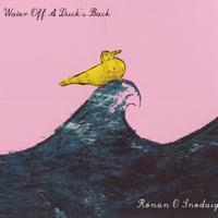 Rónán Ó Snodaigh - Water off a duck's Back