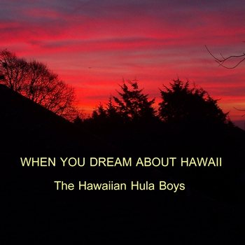 Hawaiian Hula Boys - When You Dream About Hawaii