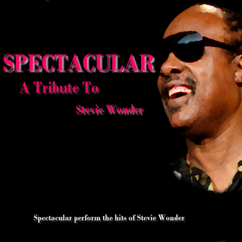 Spectacular - A Tribute To Stevie Wonder