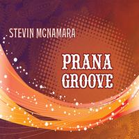 Stevin McNamara - Prana Groove