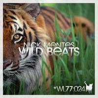 Nick Mentes - Wild Beats