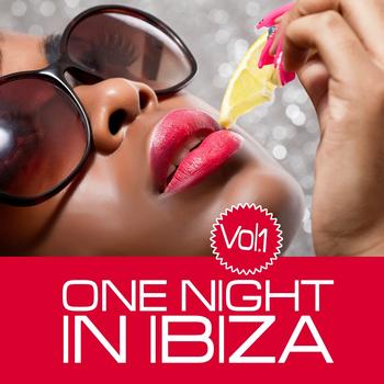 Various Artists - One Night in Ibiza, Vol. 1