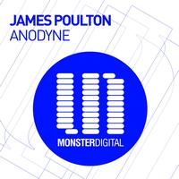 James Poulton - Anodyne