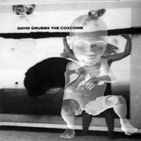 David Grubbs - The Coxcomb