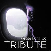 Top 40 Hits - Please Don't Go (Mike Posner Tribute)