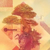 Bocuma - Protect & Survive