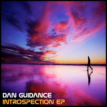 Dan Guidance - Introspection