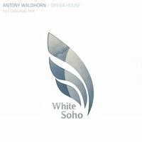 Antony Waldhorn - Opera House