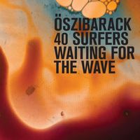 Oszibarack - 40 Surfers Waiting For The Wave