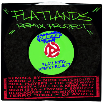 Various Artists / - Flatlands Remix Project