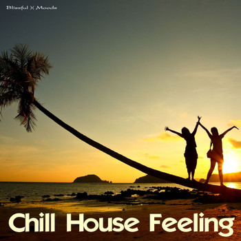 Various Artists - Chill House Feeling