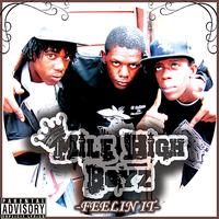 Mile High Boyz - Feelin It - Single (Explicit)