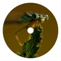 herrB - Dragonfly On Dope (Remixes)