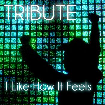 The Beautiful People - I Like How It Feels (Enrique Iglesias feat. Pitbull & The WAV.s Tribute) - Single