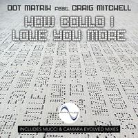 Dot Matrix feat. Craig Mitchell - How Could I Love You More
