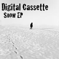 Digital Cassette - Snow