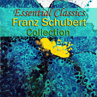 Symphony Orchestra of Cologne - Essential Classics Franz Schubert Collection