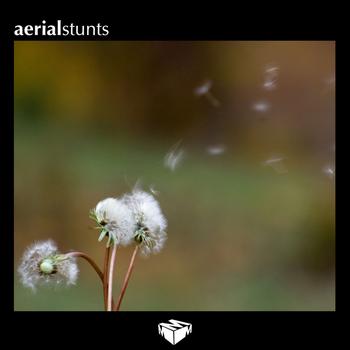 Various Artists - Aerial Stunts