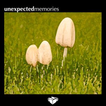 Various Artists - Unexpected Memories
