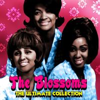 The Blossoms - The Ultimate Collection