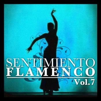 Various Artists - Sentimiento Flamenco Vol.7