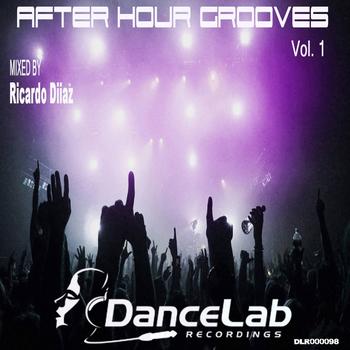 After Hour Grooves Mixed By Ricardo Diiaz - After Hour Grooves Vol 1