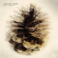 Hior Chronik - Unspoken Words
