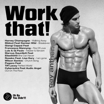 Various Artists - Oh No You Didn't! Presents:  Work That! (Gay Anthems)