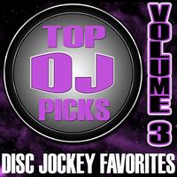 The Hit Nation - Top DJ Picks Vol. 3 - Disc Jockey Favorites