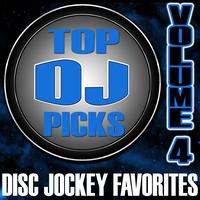 The Hit Nation - Top DJ Picks Vol. 4 - Disc Jockey Favorites