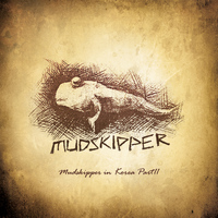 Mudskipper - Mudskipper in Korea Part II