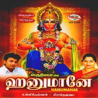 Unnikrishnan & Meerakrishna - Hanumanae