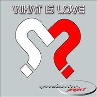 Speedmaster Project - What Is Love 2007