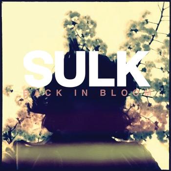 Sulk - Back In Bloom
