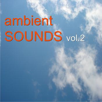 Various Artists - Ambient Sounds Vol.2      