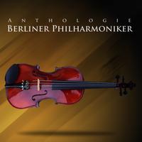 Berliner Philharmoniker - Berliner Philharmoniker Vol. 11 : Sinfonia Domestica